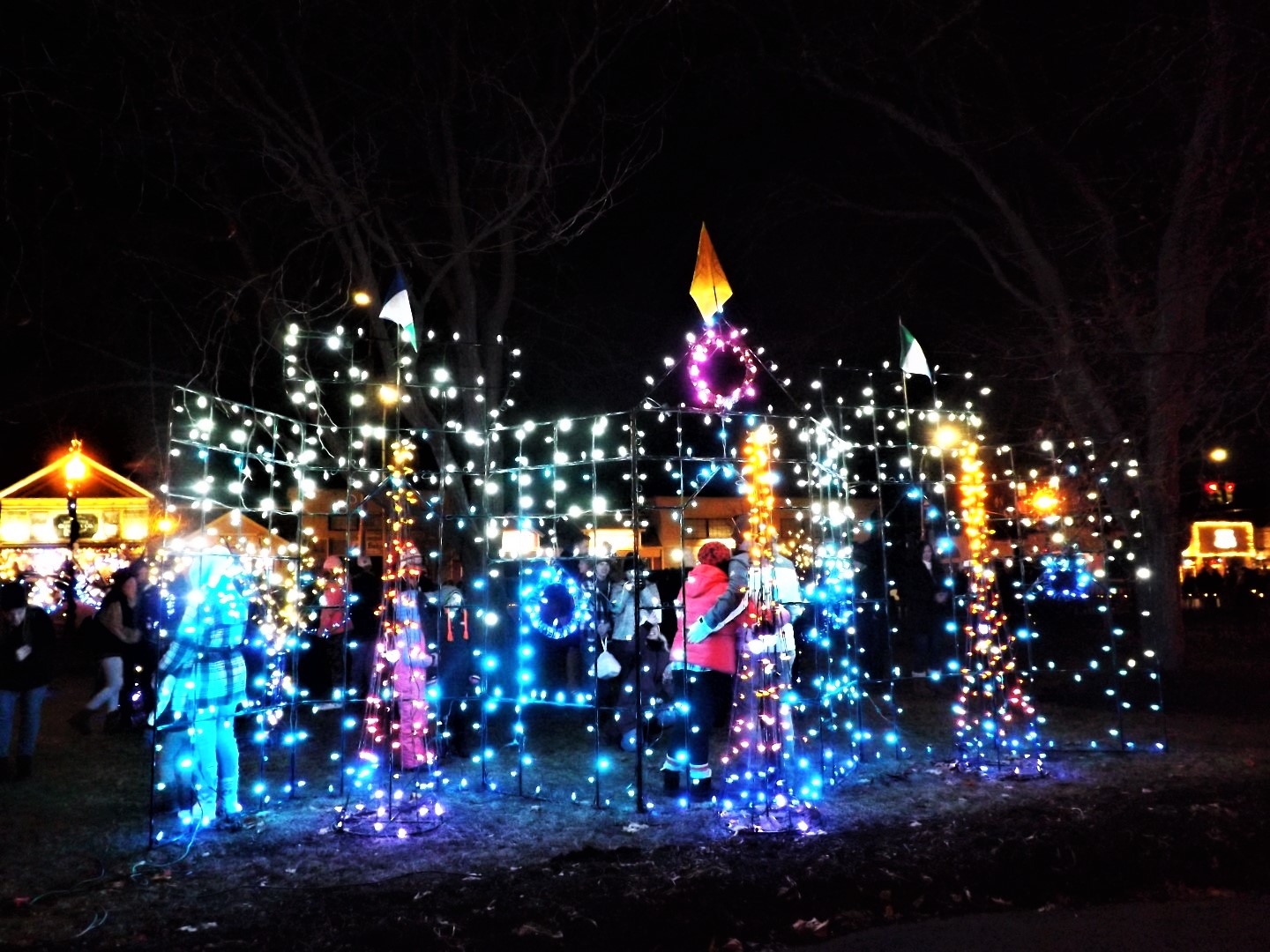 Lake announces Lite up the Village 2022 schedule The Lake