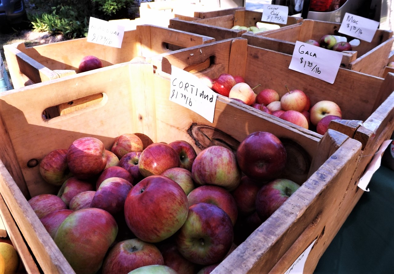 Apple Festival returns to Warrensburgh Riverfront Farmers’ Market The