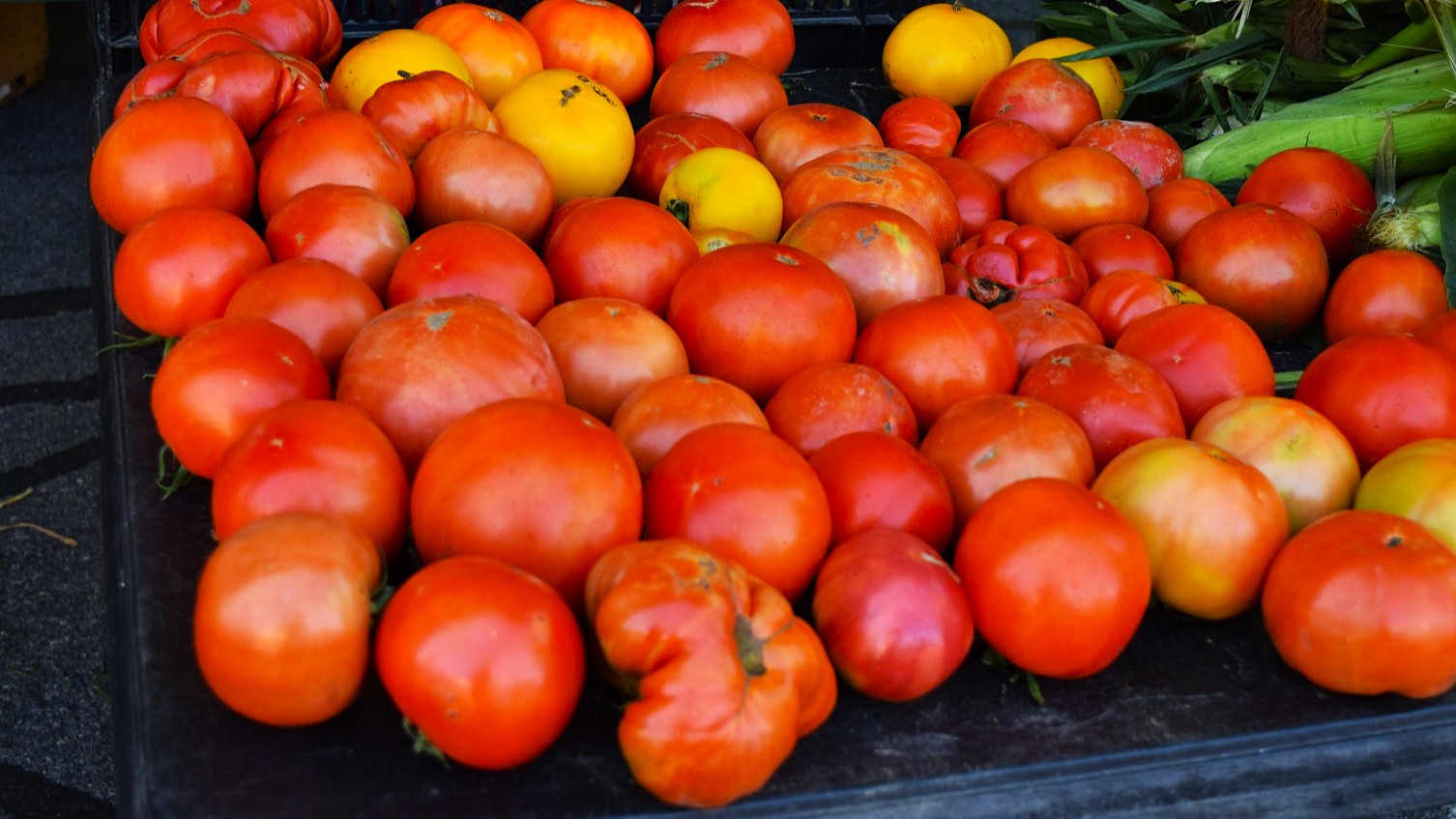 Warrensburgh Farmers' Market promises a ripe celebration with annual Tomato Festival - The Lake George Examiner